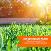 Detergente concentrato per erba sintetica con erogatore a spruzzo 0,5 Lt Giardino e giardinaggio/Decorazioni per il giardino/Erba artificiale Decor Space - Altamura, Commerciovirtuoso.it