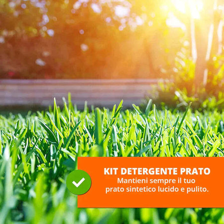 Detergente concentrato per erba sintetica con erogatore a spruzzo 0,5 Lt Giardino e giardinaggio/Decorazioni per il giardino/Erba artificiale Decor Space - Altamura, Commerciovirtuoso.it
