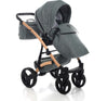 Diamond Vegan 3 in 1 Verde Melange Telaio Rosa anelli e cerchi Nero Prima infanzia/Passeggini carrozzine e accessori/Passeggini e carrozzine/Sistemi modulari La Casa Del Bebè - Napoli, Commerciovirtuoso.it