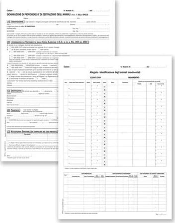 Dichiarazione prov-destinaz. animali Mod 4MC - A4 - 4 copie autoric. - DU8870R0000 - Data Ufficio [multipack] 25 pezzi Cancelleria e prodotti per ufficio/Archivio ufficio e accessori per scrivania/Modulistica e conservazione registri/Libri e registri contabili Eurocartuccia - Pavullo, Commerciovirtuoso.it