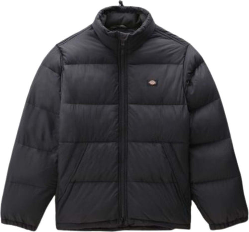 DICKIES-Giubbotto-Waldenburg-da-uomo