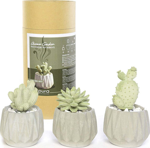 Diffusore di essenza in gesso pianta grassa da 100 mL ⌀10 x 15h cm con scatola regalo Casa e cucina/Decorazioni per interni/Profumazione ambiente/Diffusori di oli essenziali La Zappa - Altamura, Commerciovirtuoso.it