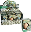 DINOSAURO NELL'UOVO NASCE SCIUDE IN ACQUA DINO EGG GIOCATTOLO EDUCATIVO BAMBINI Giochi e giocattoli/Personaggi giocattolo/Dinosauri e creature preistoriche Trade Shop italia - Napoli, Commerciovirtuoso.it