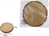 Disco Di Legno Base Tronco Decorativa Per Ornamento Casa 23 X 2 Cm Rotondo 72114 Casa, arredamento e bricolage > Decorazione della casa Trade Shop italia - Napoli, Commerciovirtuoso.it