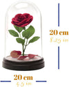 Disney La Bella E La Bestia Enchanted Rose Lampada Usb 20cm Rosa Incantata