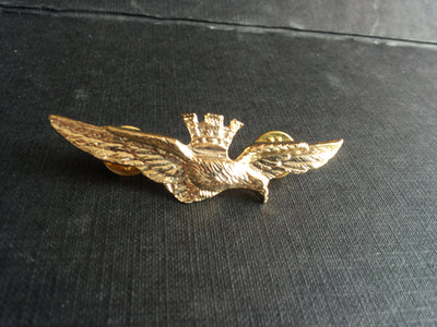 Aquila pilota militare varie misure