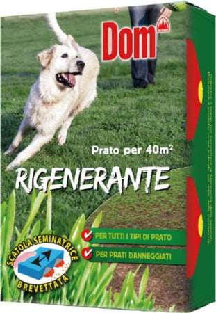 Dom-Sementi-Prato-Rigenerante-1-kg
