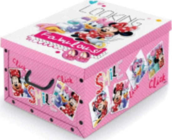 DOMOPAK---SCATOLA-CON-MANIGLIE-DISNEY-39X50X24