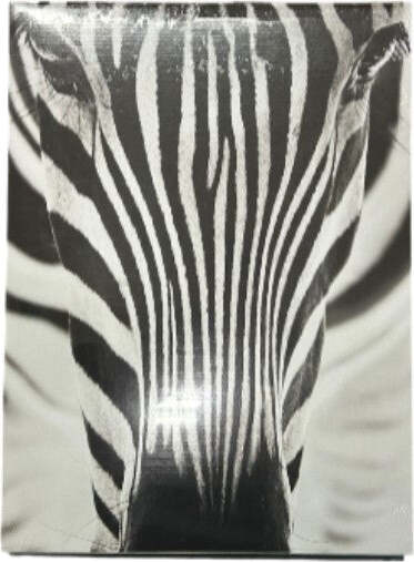 DOMOPAK---SCATOLA-GUARDAROBA-CARTONE-STK1