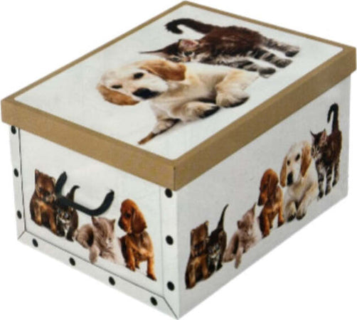 DOMOPAK---SCATOLA-IN-CARTONE-CON-MANIGLIE-39x50x24-CM-FANTASIE-ASSORTITE