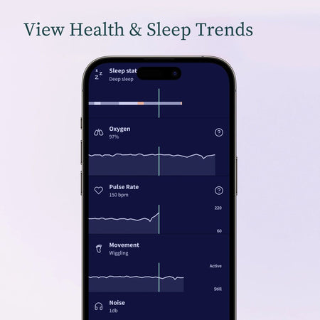 Dream Sock + Cam 2 Owlet - Rosa Antico