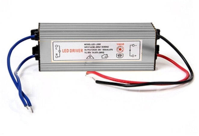 DRIVER RICAMBIO PER PROIETTORI A LED 10W/20W/30W/50W/70W/80W/100W