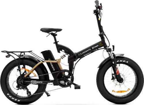 E-bike-Pieghevole-Argento-Bi-Max-XL---AR-BI-220007