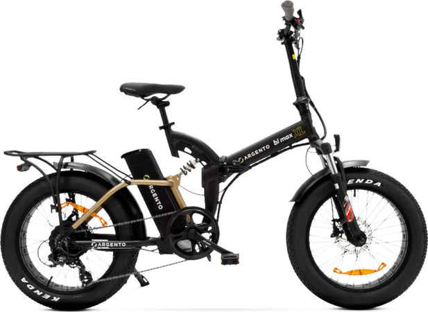 E-bike-Pieghevole-Argento-Bi-Max-XL---AR-BI-220007