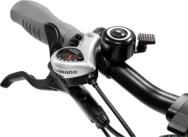 E-bike-Pieghevole-Argento-Bi-Max-XL---AR-BI-220007