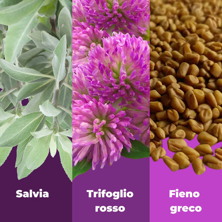 Integratore Menopausa Peso con Salvia e Trifoglio Rosso – Riduce Vampate di Calore, Supporta il Benessere Ormonale e l’Equilibrio Psicofisico | AlohaLabs 60 Compresse