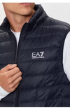 httpswwwkingofwearcommediaimg202502fevrier2402ea78npq06pngpz1562320250224032816000000_350x550