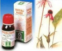 ECHINACEA-59-50ML-TM