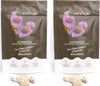 Echinacea-Purpurea-biologica,-90-capsule
