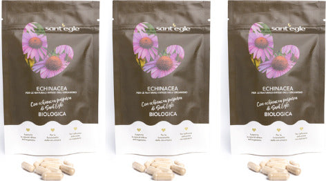 Echinacea-Purpurea-biologica,-90-capsule