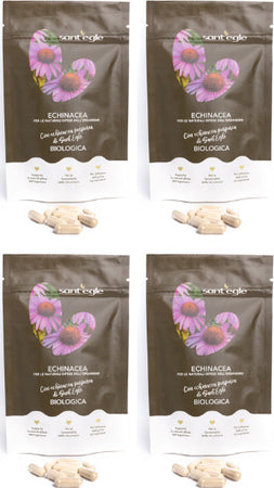 Echinacea-Purpurea-biologica,-90-capsule