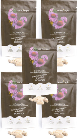 Echinacea-Purpurea-biologica,-90-capsule
