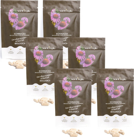 Echinacea-Purpurea-biologica,-90-capsule