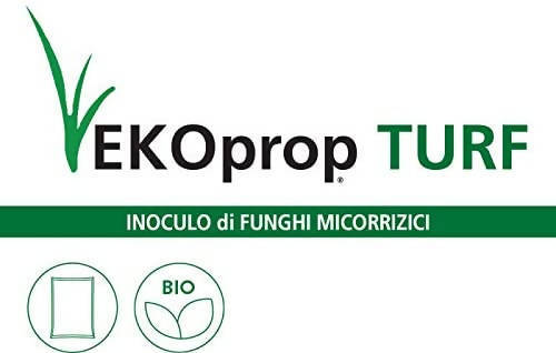 EKOprop Green Ravenna Turf Polvere inoculo di Funghi micorrize batteri Prato Tappeto erboso 200 g BIO Trattamento endomicorrizici e batteri della rizosfera Ekoprop Turf