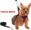 Elegante Pettorina E Guinzaglio Regolabile Per Cane Comfy Control Taglia Media Prodotti per animali domestici/Cani/Collari imbracature e guinzagli/Imbracature/Imbracature con pettorina Trade Shop italia - Napoli, Commerciovirtuoso.it