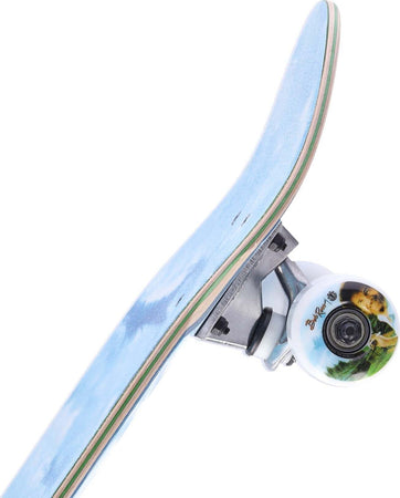 ELEMENT-Skateboard-Assemblato-Uomo-Happy-Clouds-Cruiser-Assorted-da-uomo