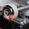 ELEMENT-Skateboard-Assemblato-Uomo-Seal-Multi-da-uomo