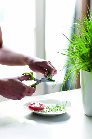 elho-8121341341000-Bruxelles-aromatico-Pot-Taupe-Taglia-S