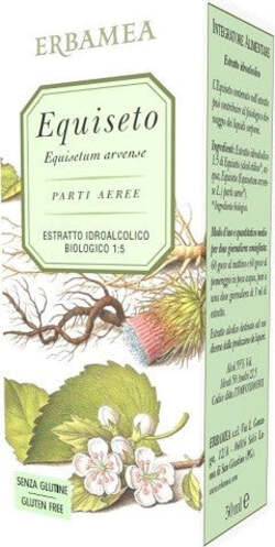 EQUISETO-Estratto-Idroalcolico-50-ml-Erbamea