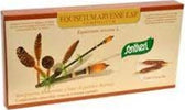 EQUISETUM-ARVENSE-E.S.P.-integratore-alimentare-12-fiale-da-5-ml-Santiveri-Ibersan