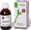 EUCALIPTO-Macerato-Glicerinato-Gemme-100-ml-Fitomedical