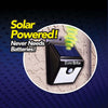 EVER BRITE LUCE SEGNA PASSI DA ESTERNO RICARICA SOLARE CON SENSORE DI MOVIMENTO  Trade Shop italia - Napoli, Commerciovirtuoso.it