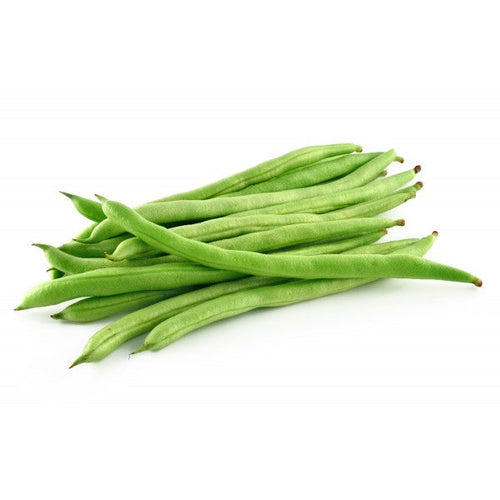 Semi di fagiolo Nano cannellino piante per orto e giardino coltivazione domestica e professionale