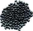 Fagiolo-nero-Biologico