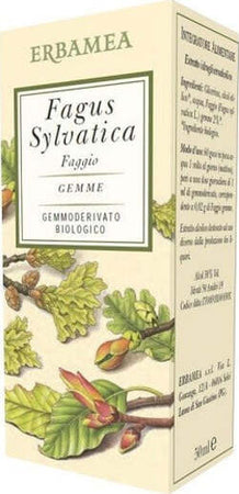 FAGUS-SYLVATICA-FAGGIO-Gemmoderivato-50-ml-Erbamea