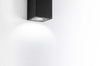 Product Image-3