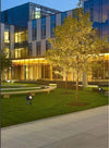 Faretto-Led-3,5-W-Nero-Es38-Staffa-Orientabile-Esterno-Varie-Tonalita'-Luce-Ip65