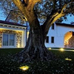 FARETTO LED WISDOM 1W 90LM SEGNAPASSO CALPESTABILE DA INCASSO PER ESTERNI IP65 Illuminazione/Illuminazione per esterni/Luci per sentieri Trade Shop italia - Napoli, Commerciovirtuoso.it