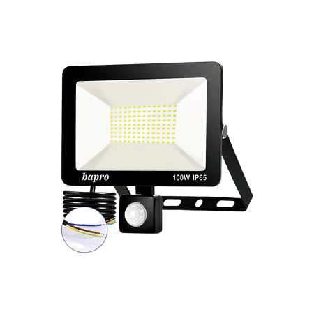 Faro Led Giardino Con Sensore Di Movimento 100W
