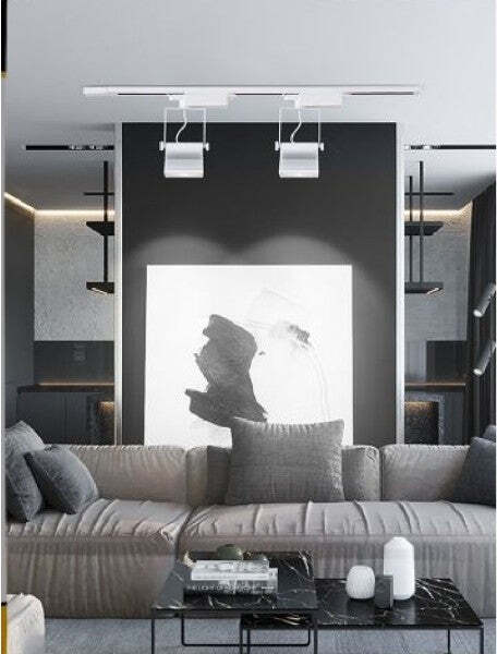 Faro-Proiettore-Orientabile-30w-Luce-6500k-4000k-Faretto-Led-Cob-Binario-F30w-6a