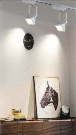 Faro Proiettore Orientabile 30w Luce 6500k 4000k Faretto Led Cob Binario F30w-6a Illuminazione/Illuminazione per esterni/Proiettori Trade Shop italia - Napoli, Commerciovirtuoso.it