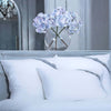 Federa cuscino percalle 80 Fili Bow Tie, bianco, 50x70 Perle de Coton Casa e cucina/Tessili per la casa/Biancheria da letto/Lenzuola e federe/Federe Scontolo.net - Potenza, Commerciovirtuoso.it
