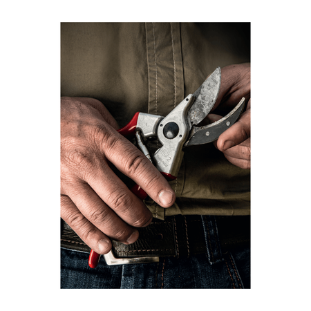 Felco 2 Forbice Per Potatura con Lama e Controlama in Acciaio 215 mm. Felco