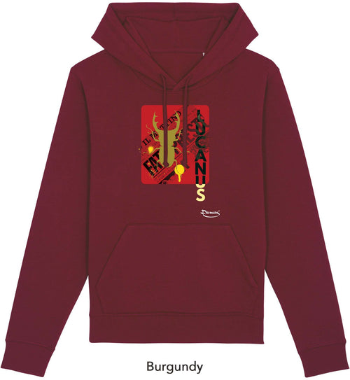 Felpa da Uomo con Cappuccio Stampa Lucanus Hoodie DREAMERS Brand