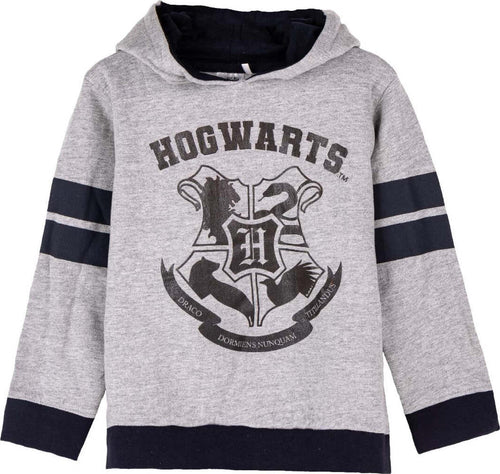 Felpa-Harry-Potter-da-7-a-12-anni-interno-felpato