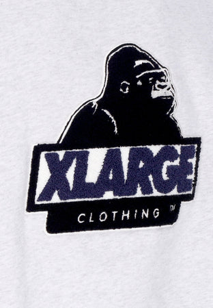 XLARGE Felpa Leggera Cappuccio Uomo Chenille Slanted Og Pullover Hooded Ash da uomo